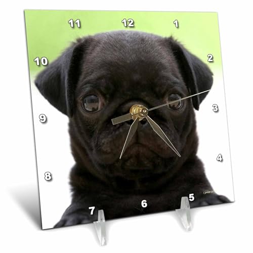 3dRose dc_21198_1 Pug Puppy Desk Clock, 6 by 6-Inch