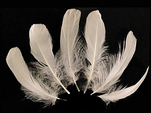 1 Pack - Ivory Goose Nagoire Wing Loose Feather - 0.25 Oz. Dream Catcher, Wedding, Halloween Craft Feathers | Moonlight Feather #TOP2