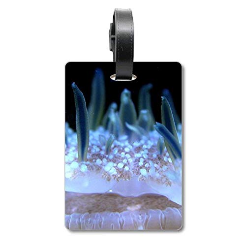 Étiquette valise méduse bleu océan : identifiez et sécurisez votre sac