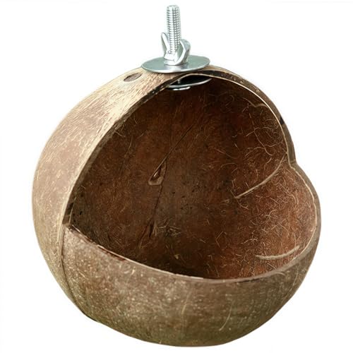 VRRRibcAo[hnEXEpBƁEECR//nX^[/``Ή (B)