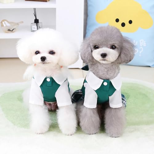 Disfraz escolar para perro tamaño Large miniatura 6