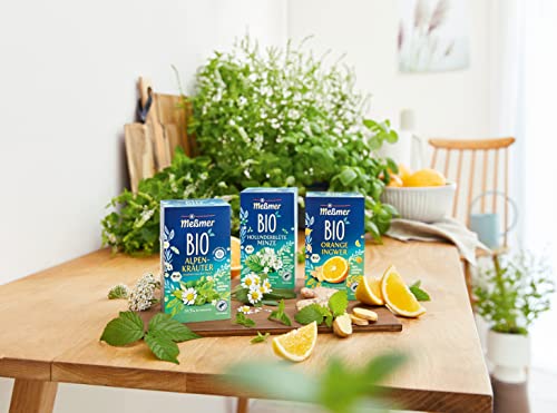 Meßmer Bio Orange Ingwer | Verfeinert mit natürlichem Fruchtöl | 100% natürliche Zutaten | 20 Teebeutel | Vegan | Glutenfrei | Laktosefrei
