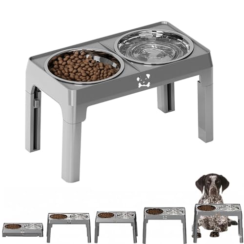 Lifetips W[}EV[gwA[hE|C^[ Lp H t[h{EX^h {E  ܂肽 pT|[g Hׂ₷ Hh~ 􂢂₷ ~  i5iK O[j