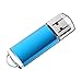 RAOYI 10 Pack 2G 2GB USB Flash Drive USB 2.0 Memory Stick Thumb Drive Pen Drive Blue