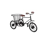 Royal Arts Handmade Wrought Iron Table Top Cycle Rickshaw Vases Showpiece(Black)