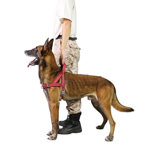 S-ETOVUS h~pn[lXAˎqn[lX\tgpbhnhtAEoh~/NCbNtBbg߉\ȃybgn[lX^^^pAg[jOȒPEH[LO(bhAXS)