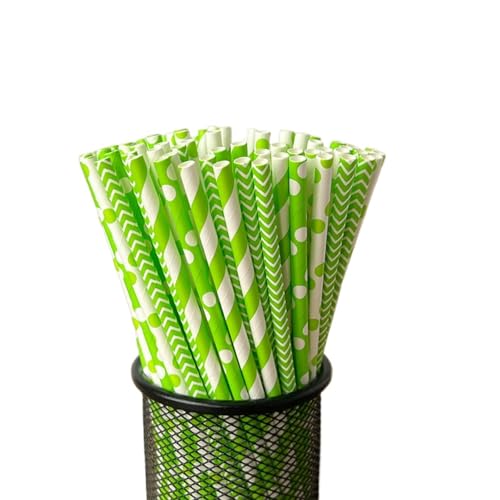 y[p[Xg [ 200/300/500/1000{ XgCv  X g[ ĝ  Jt O X g[ qI  W[X JNe X[W[ p[eB[ a NX}X p[eB[ObY ƒp Ɩp ps