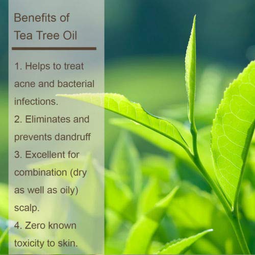 Image of Luseta Tea Tree Oil Shampoo and Conditioner Set 2 x 33.8 oz | for Flaky, Dry Scalp Shampoo and Conditioner, Cooling Peppermint & Lavender, Refreshes Scalp & Removes Buildup, Sulfate-Free