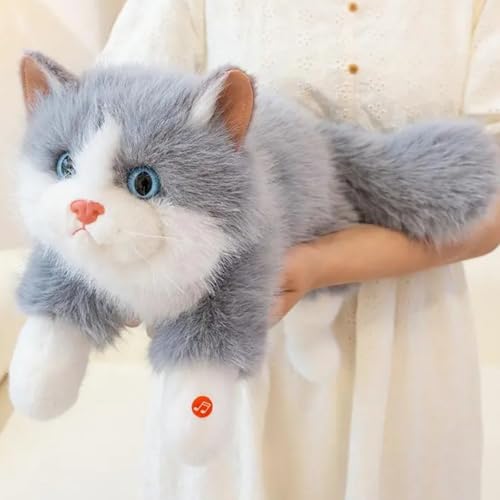 Fentty ALʂ { L ˂ ʂ  Ђ˂ _炩 킢 45cm/55cm ubN NX}X a v[g (55cm,O[)