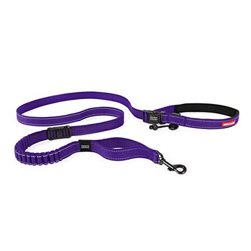 EzyDog Road Runner Dog Leash (Purple)
