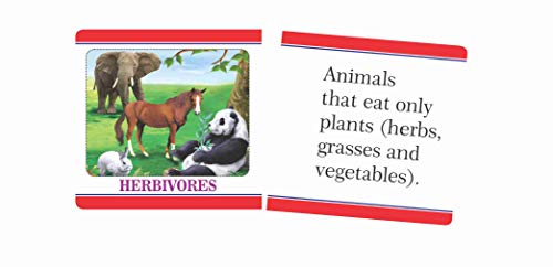 Image of Creative's Science Knowledge Booster - Animals | Knowledge About the Amazing Animal World | Match Picture Game |Science | Science Knowledge Booster Series | Ages-5 & UP