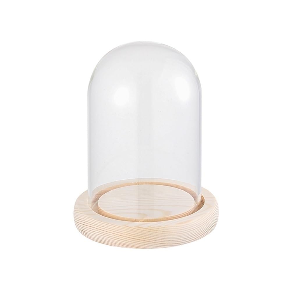 WYQXTY Clear Glass Cloche Display Clear Display Dome Glass Cloche Jar 9x12cm Wooden Base
