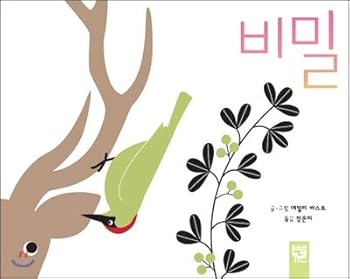 Hardcover Secret (Korean Edition) [Korean] Book