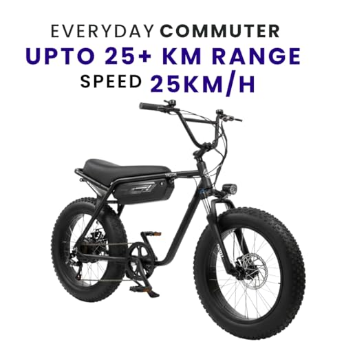 Image of VIGOREBIKE ZE