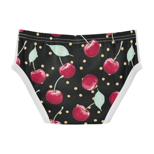 Wusikd Cherries Polka Dots Boys' Underwear Cotton Boys Briefs Soft Toddler Underwear 2T2