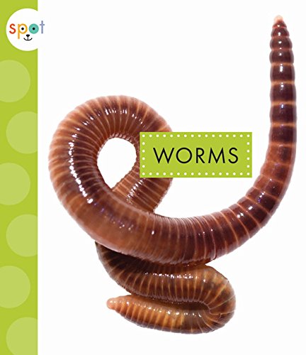 Worms (Spot)