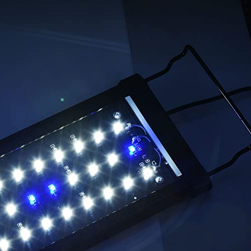 Kzkr Aquarium Hood 24 Inch Fish Tank Light Blue And White Light 24-32 Inch #TOP5