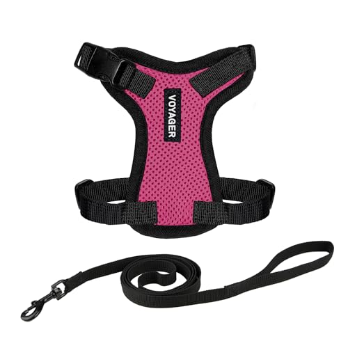 Image of Voyager Escape-Proof Step-in Lock Cat Harness & 5ft Neoprene-Handle Leash Set All-Weather Mesh with Reflective Stitching for Small to Large Cats by Best Pet Supplies, Fuchsia /Black Trim, XXXS