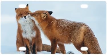 Car Tag for Fox Art Metal License Plate Frame (New) 12" X 6"