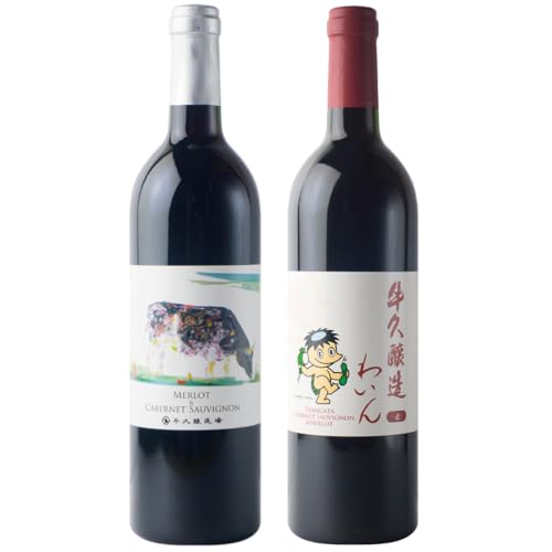 [ 3ヶ月連続 ] 赤ワイン おまかせ 定期便 2本セット 飲み比べ 茨城県産 牛久醸造場 厳選 750ml × 2本 お酒 ワイン ワイン好き 初心者 上級者 贈り物 ギフト 詰め合わせ