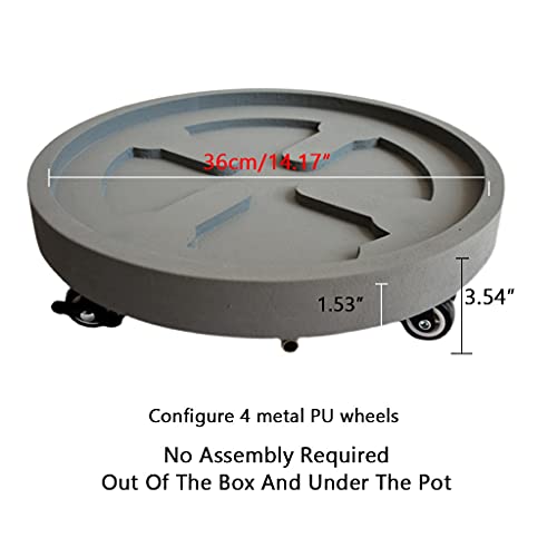 Soucoupe pour pots de fleurs 25-40cm et chariot à roulettes