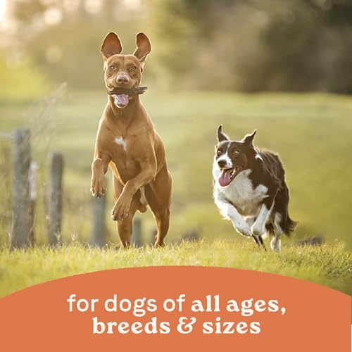 CANIDAE All Life Stages Dog Wet Food Made with Chicken & Rice, 13 oz by CANIDAE
