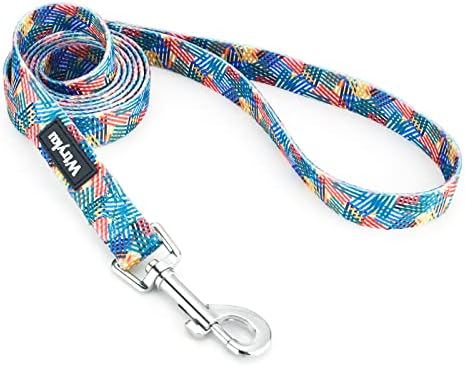 4 FT/5 FT Cute Dog Leash, Sturdy Printed Floral Pattern Girl Pet Leashes for Walking Training, Puppy Leash for Small, Medium and Large Dogs(Streak, 4FT X 5/8" Wide)