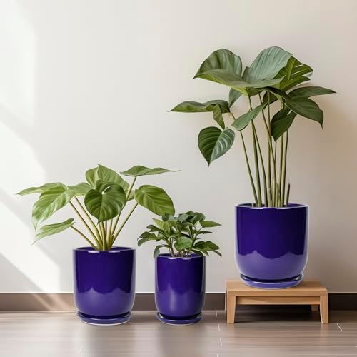 SUNPOTFOR Ceramic Plant Pot - 8 Inch Planter for Indoor Plants Outdoor Flower Pot with Drainage Hole and Saucer Home Patio Office Decor Blue — view 7