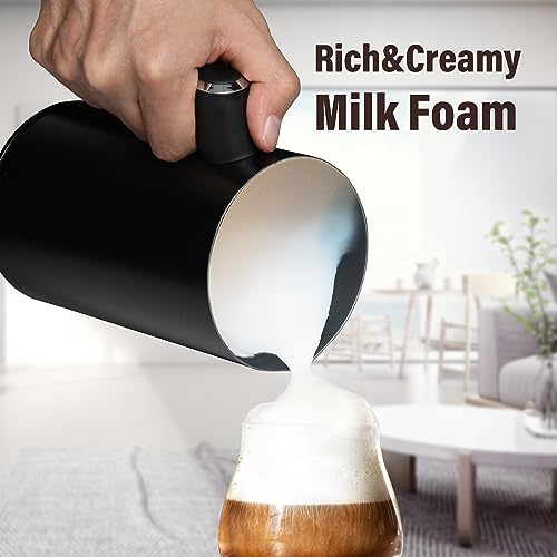 Amazon.com: YSSOA: Milk Frother