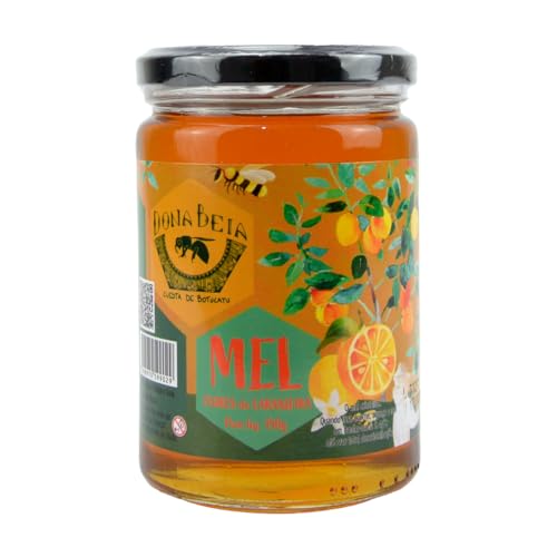 Mel Puro Flor de Laranjeira 450g Mel de Abelha Dona Beia