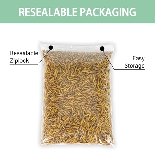 Image of WORMSKING 5.5LB Dried Black Soldier Fly Larvae, More Calcium Than Dried Mealworms, High Protein Chicken Feed, Poultry Treat