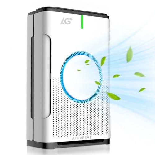 ion Fresh 空気清浄機 シルバー Amazon.co.jp: 【サインキングダム】空気清浄機 AG+銀イオンプラズマ