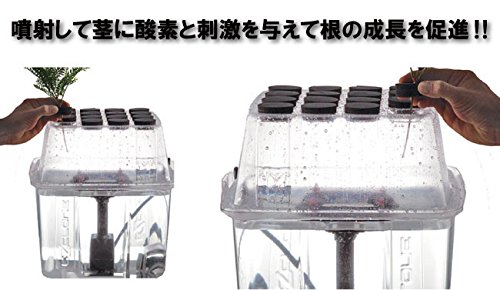Amazon.co.jp: クローン専用水耕栽培キット ［EZクローン Classic 64
