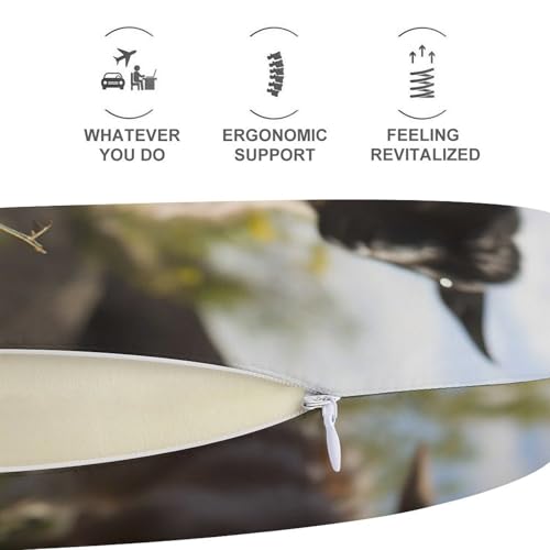 Almohada cervical espuma viscoelástica tamaño único miniatura 5
