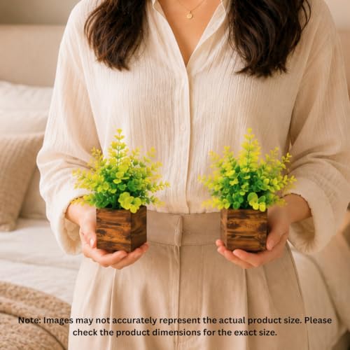 Image of DecoreBugs Artificial Eucalyptus Plant with Plastic Pot (Pack of 2) | 12 cm Height | Mini Potted Plants for Shelf Decor, Home, Office, Living Room, Desk & Table Item Decoration
