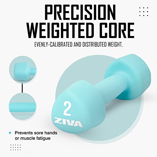 Ziva Vinyl Rubber Tribell Dumbbell Pairs - 2Lb Pair | Sleek, No-Slip, Durable Rubber Finish, Precision Weighted Core, No-Roll Design For Rigorous Exercise And Strength Training (Avail In 2-10Lb Pairs) #TOP3