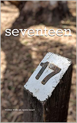 seventeen (English Edition)