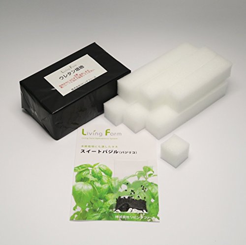 リビングファーム バジル 種子付き スポンジ培地 (水耕栽培用 ウレタン培地 60個)
