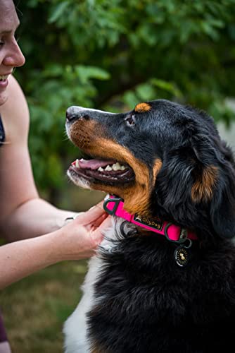Collier de qualité OllyDog Tilden rose pour chien de taille moyenne