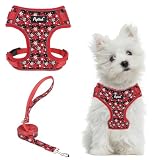 PUPTECK Christmas Small Dog Harness and Leash Set, No Pull Adjustable Puppy Cat Harness, Reflective Soft Mesh Pet Vest Small Sized, Checkered, S