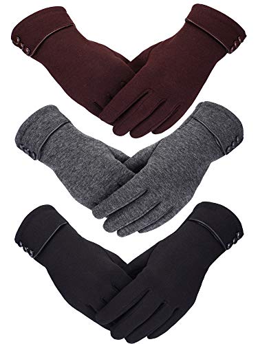 Patelai 3 Pairs Women Winter Gloves Warm Touchscreen Gloves Windproof Gloves for Women Girls Winter Using (Black, Gray, Brown)