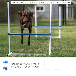 Better Sporting Dogs Agility Course Backyard Set - 7pc Indoor and Outdoor Agility Training Equipment for Dogs - 3 Jumps - 2 Tunnels with Sandbags - Weave Poles for Dog Obstacle Training Better Sporting Dogs Agility Course Backyard Set 7pc Indoor and Outdoor Agility Training Equipment for Dogs 3 Jumps 2 Tunnels with Sandbags Weave Poles for Dog Obstacle Training