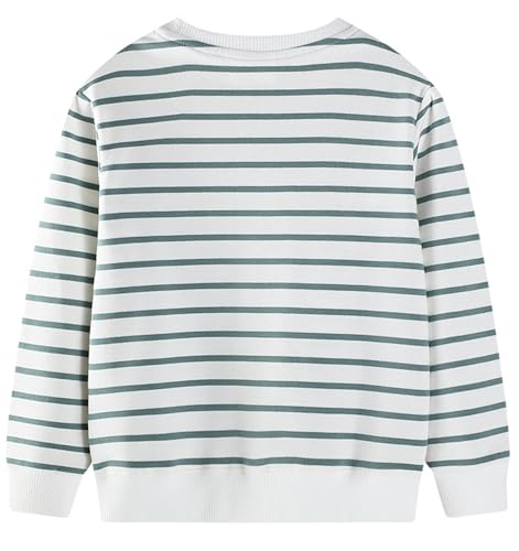Image of Hongshilian Unisex Kids Cute Cartoon Cotton Sweater Shirt