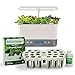 AeroGarden Harvest Elite Indoor Garden Hydroponic System with LED Grow Light and Seed Kit, Holds up to 6 Pods, White Stainless