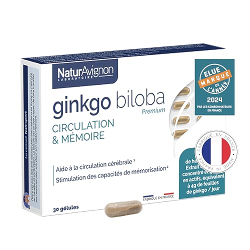 Ginkgo Biloba | Complément alimentaire memoire et concentration & Circulation cérébrale | Vitamine B5 + ginko biloba | Concentration memoire adulte | 1...
