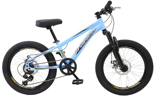 Bicicleta Aro 20 Rino Everest Infantil Freio A Disco Cambio Shimano (Azul Bebe)