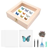 Insekt Vitrine Insektensammlung Herstellung von Insektenproben Werkzeug Kit Insektennadeln Insektensammlung Insekten Schaukasten für Bug Hobbyist