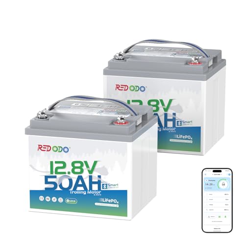 Image of Redodo 12V 50Ah LiFePO4 Deep Cycle Battery for Marine, RVs 2 Pack