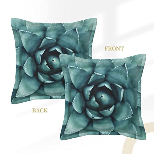 Housses de coussin simili cuir succulentes faciles à nettoyer pour maison