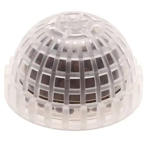 v | Lb` Gr ANAE fBA X{[ z_[ GR th[ vX`bN  A Œ {[ GrnEX B ɐB 